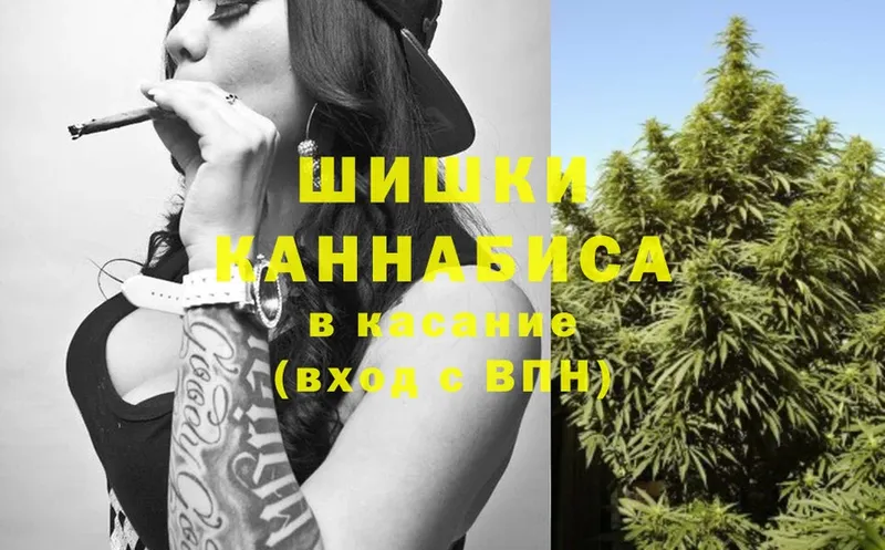 наркотики  Жиздра  Конопля Ganja 